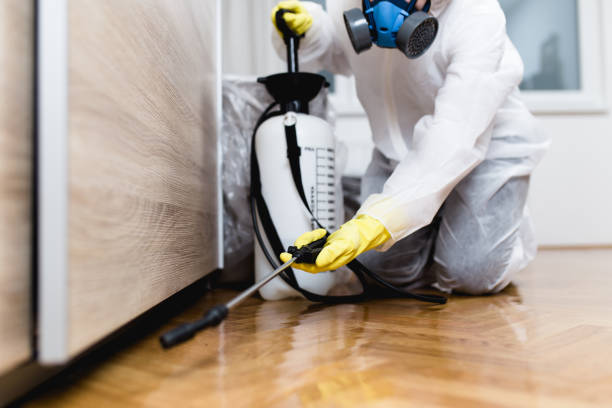 Reliable Lynchburg, MS Pest Control Solutions