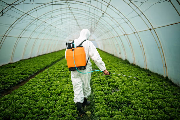 Best Pest Prevention Services  in Lynchburg, MS