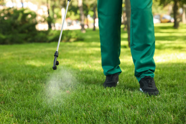 Best Affordable Pest Control Services  in Lynchburg, MS