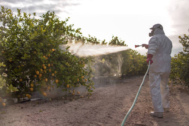 Best Cockroach Control Services  in Lynchburg, MS