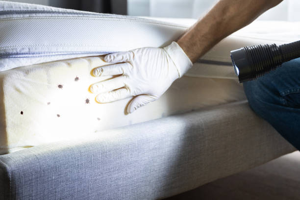 Best Pest Removal Services  in Lynchburg, MS