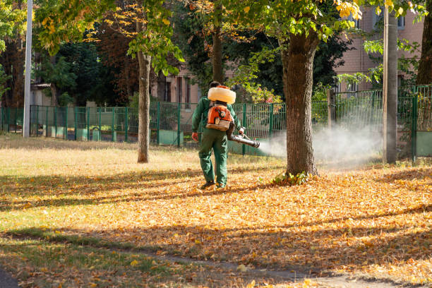 Best Best Pest Control Companies  in Lynchburg, MS