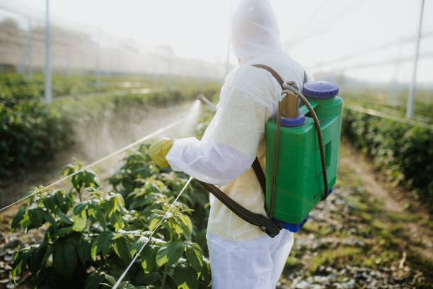 Best Emergency Pest Control  in Lynchburg, MS